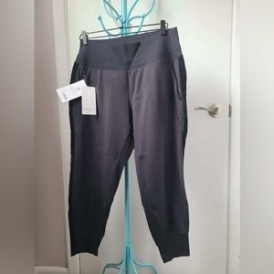 Athleta Venice Velvet Stripe Jogger NWT